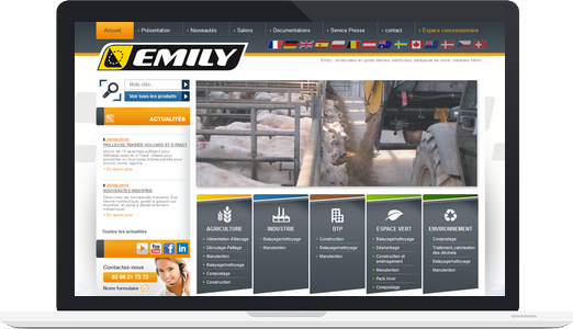 Campagne Google AdWords pour Emily